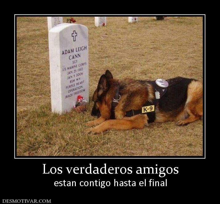 Busco amistad final feliz 741798